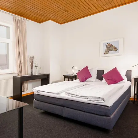 Отель Rutherbach 3*